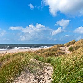 Dune d'été sur la côte danoise dans le Jutland