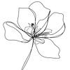 digitale oneline drawing open Tulp van Ankie Kooi