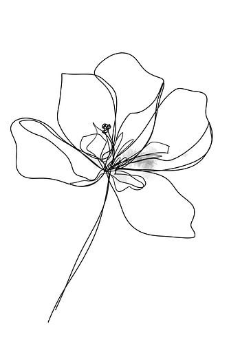 digital oneline drawing blooming Tulip