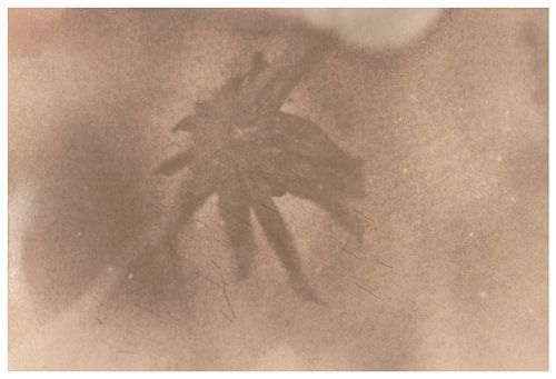 Leonar - Lith (Hamburg) _ 12