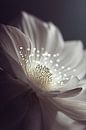 Sparkling Flower by Treechild thumbnail