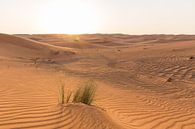 Rood zand in de woestijn bij Dubai van Martijn Bravenboer thumbnail