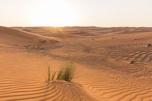 Rood zand in de woestijn bij Dubai
