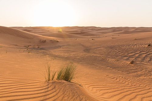 Rood zand in de woestijn bij Dubai