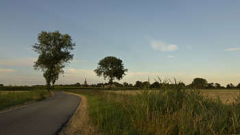 Ländlicher Polderweg bei Nisse in der Zak van Zuid-Beveland bei tief stehender Sonne