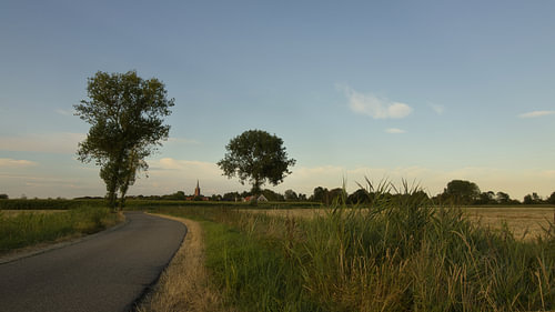 Ländlicher Polderweg bei Nisse in der Zak van Zuid-Beveland bei tief stehender Sonne
