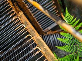 Sachsenstein, Sächsische Schweiz - Stufen der Stiege von Pixelwerk