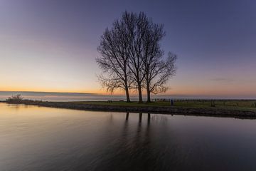 Vluchthaven bij Wijdenes van peterheinspictures