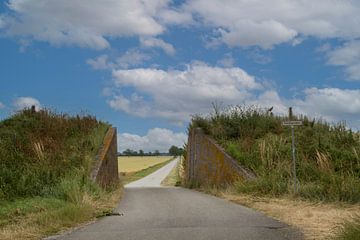 traversée de digue reiderwolder polder Groningen sur M. B. fotografie