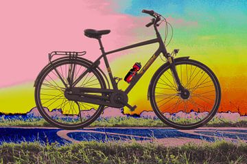 Kleurrijke fiets van Greta Lipman