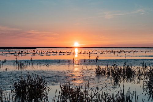 Het Wad van Johan Mooibroek