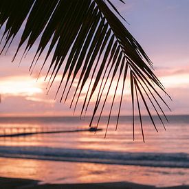 Coucher de soleil, sur la plage en Thaïlande avec des palmiers sur Lindy Schenk-Smit