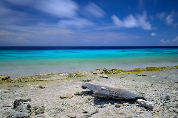 Bonaire West Coast Rocks! by M DH