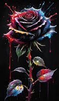 Black rose