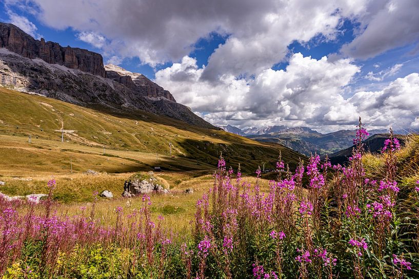 Flowers and the imposing Dolomites in Italy by Dafne Vos