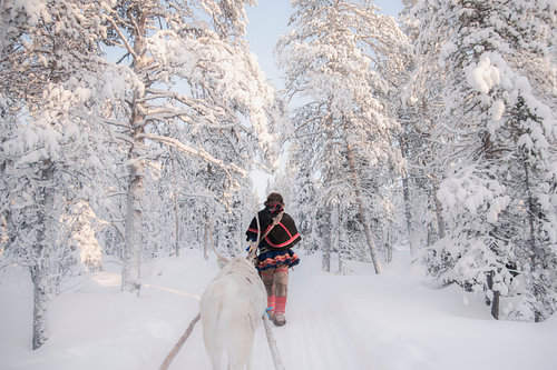 Sami reindeer herder in the forest | travel photography print | Lapland Sweden