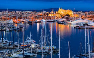 Haven van Palma de Mallorca bij nacht, Spanje, Middellandse Zee, Balearen van Alex Winter