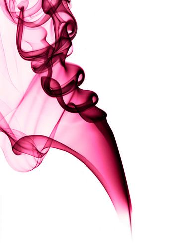 Wierook roze op witte achtergrond links