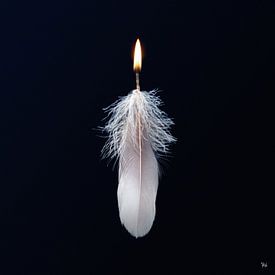 Featherlight by Michel Rijk