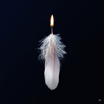 Featherlight - Conceptueel foto werk van Michel Rijk