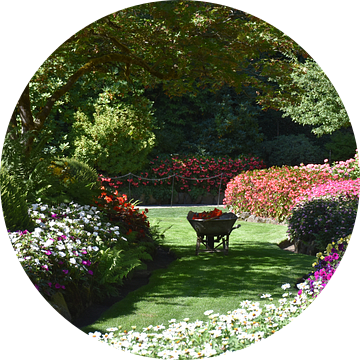 Een kruiwagen in de bloeiende tuin van Claude Laprise