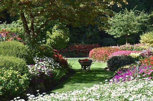 Een kruiwagen in de bloeiende tuin