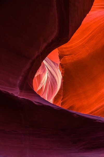 Flame of Stone by Tony Buijse