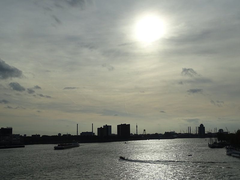 Aan het eind van de dag par Sanne Compeer