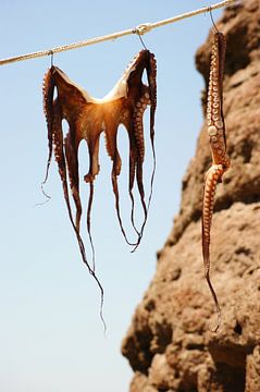 Calamares sur Mariska Van Brustum