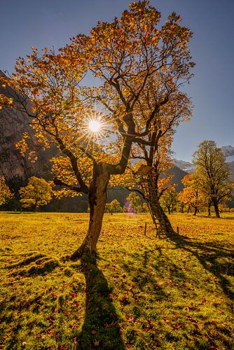 Gouden herfst in de Karwendel ? hier bij "Großer Ahornboden"