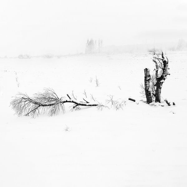 one down by Guy Lambrechts Photography