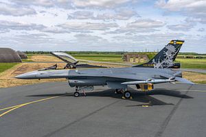 F-16 jubilé caisse de 1 SQN "Stingers".