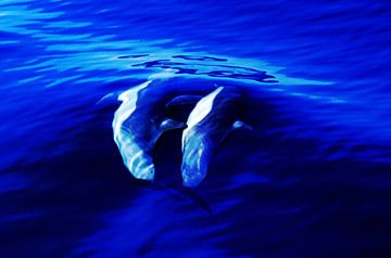 Harmony: two dolphins performing synchronized swimming by images4nature by Eckart Mayer Photography