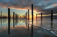 Strand Petten bij zonsondergang van FotoBob thumbnail