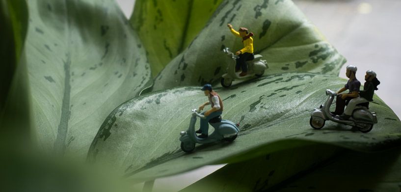 Vespa Abenteuer #5 von Hugo Nereaux - Sqircle Art