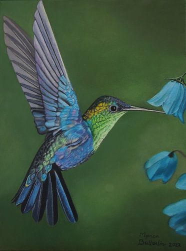 flying hummingbird with flowers