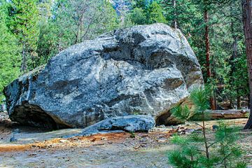 Een grote rots bij Yosemite van Barbara Riedel