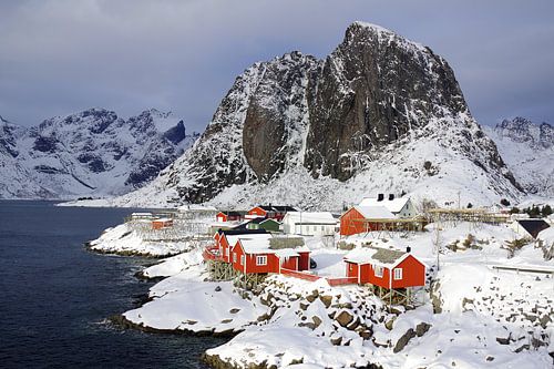 Winter in the Lofoten Islands