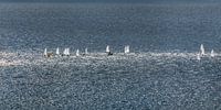 Zeilbootjes op zee in een strakke lichtbaan van de zon van Harrie Muis thumbnail