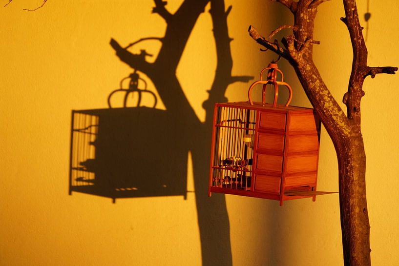 Birdcage by Jan Nuboer