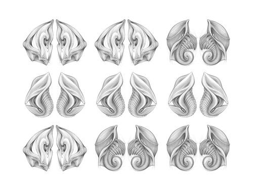 Pattern from imaginary life forms 3