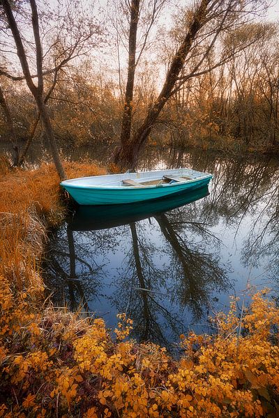 Boat in fall colours van Halma Fotografie