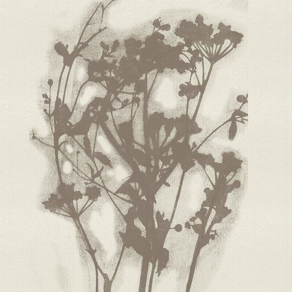 Minimalist flowers in taupe and white by Dina Dankers