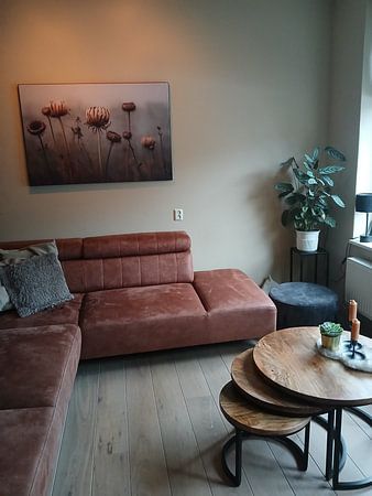 Nature morte avec fleurs séchées en plein air