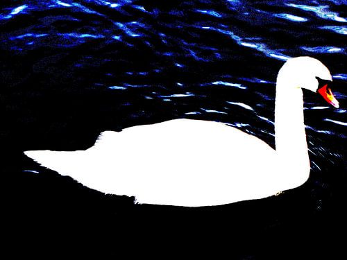 Zwaan abstract von Nicky`s Prints