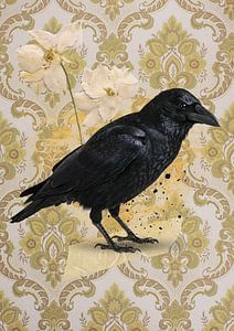 Crow on beige vintage wallpaper