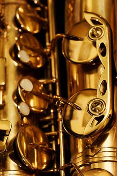All that Jazz - speel saxofoon van Rolf Schnepp
