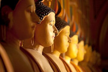 Boeddhabeelden, Sri Lanka van Peter Schickert