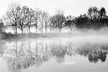 Brouillard sur l'eau
