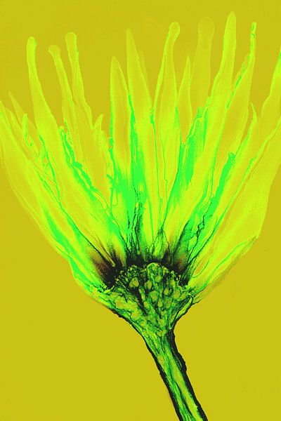 Blume von Joke Gorter